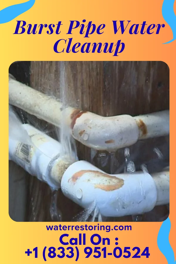 Burst Pipe Water Cleanup in Nags Head, NC
