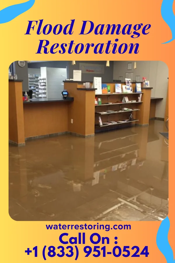 Flood Damage Restoration in Nags Head, NC