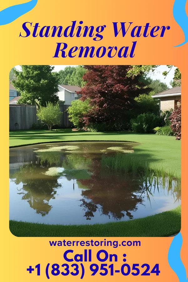 Standing Water Removal in Nags Head, NC